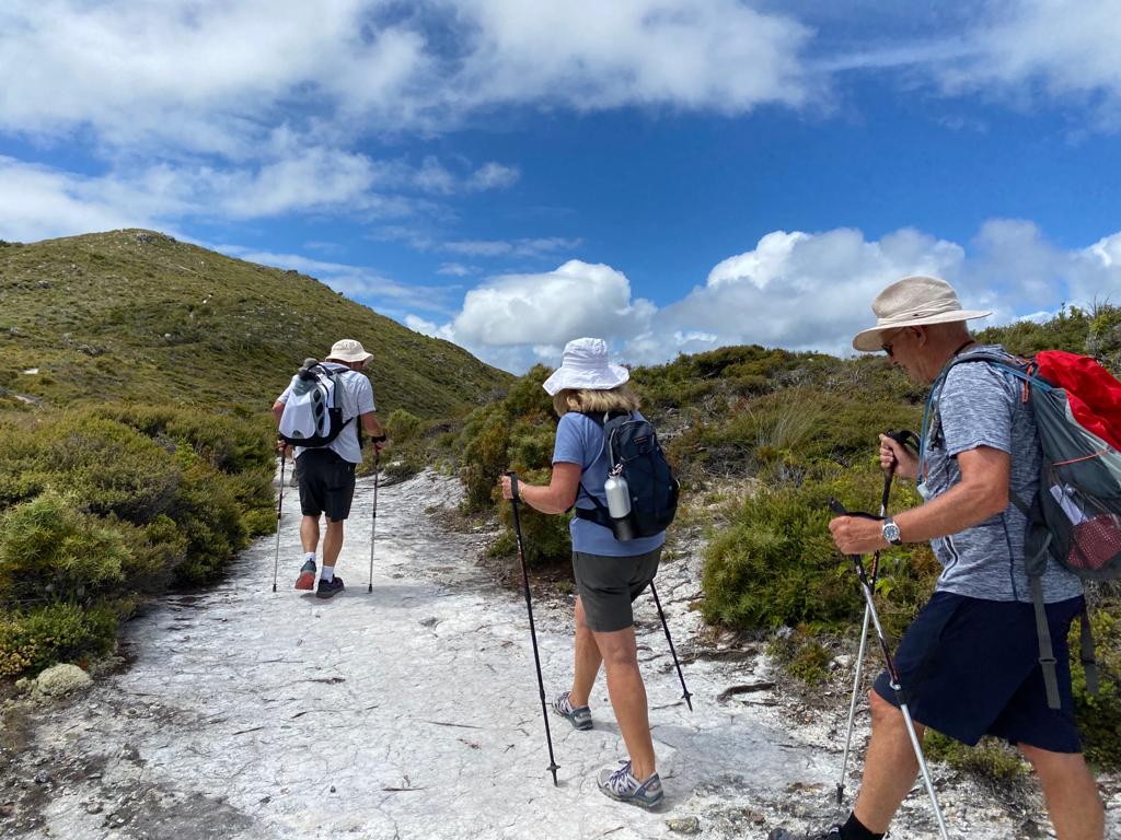 A wide, well-graded hiking trail on Great Barrier Island