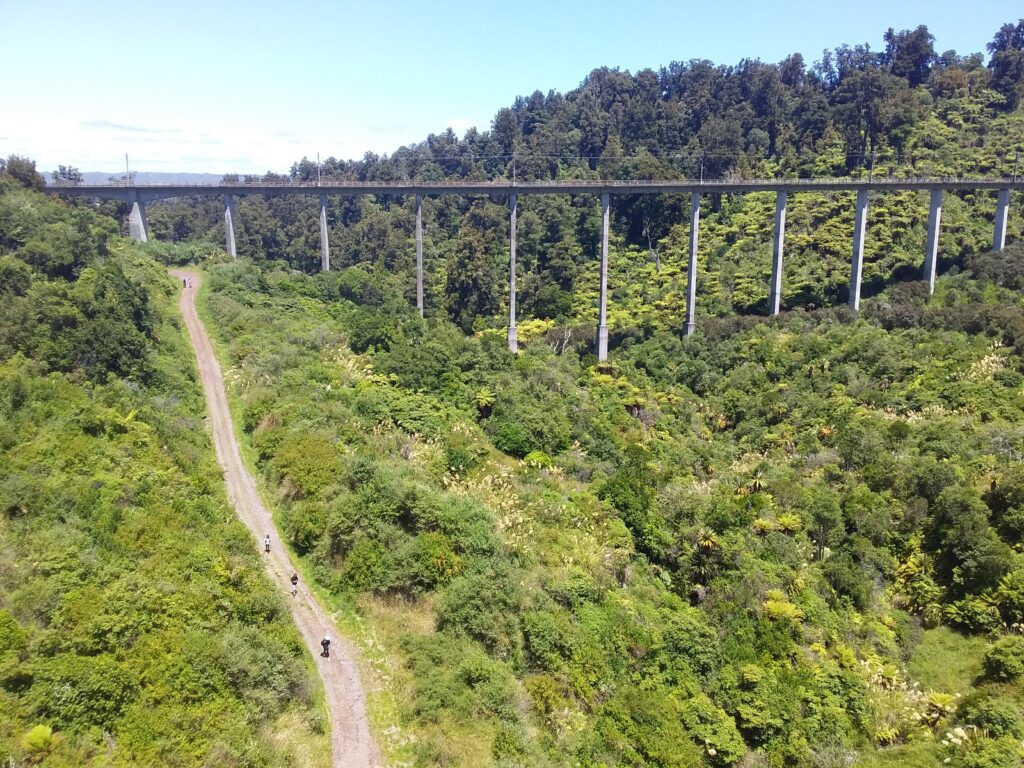 The Old Coach Road track Ohakune