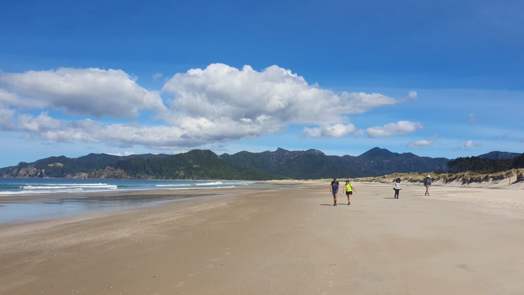A small group of hikers walk along the secluded and deserted Whangapoua Beach on Great Barrier Island near Auckland