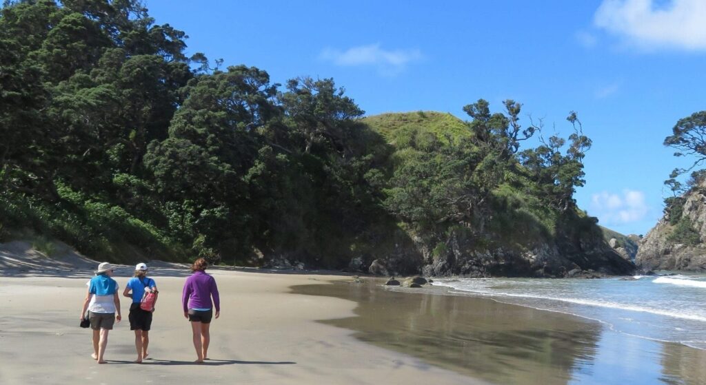 Great Barrier Island Hiking - take a guided walking and hiking tour with Walking Legends in New Zealand