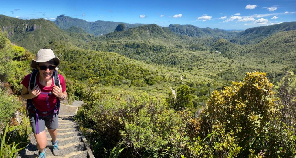 Walking the Pinnacles hiking track near Thames, Coromandel