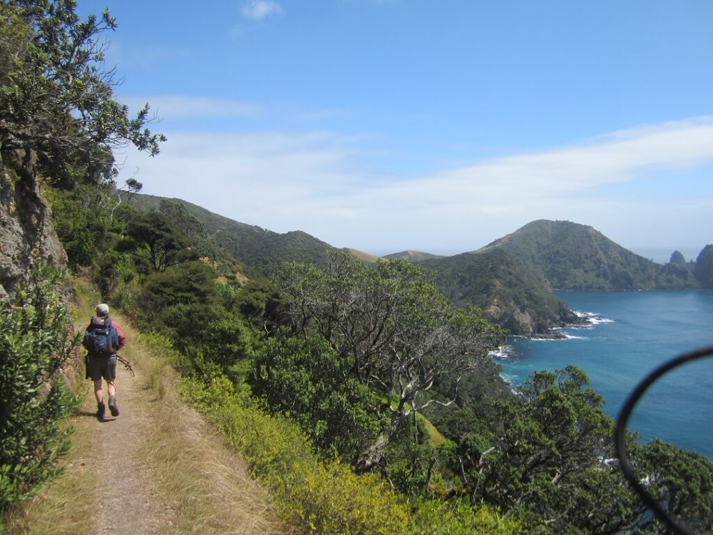 tips for solo travelers hiking in New Zealand
