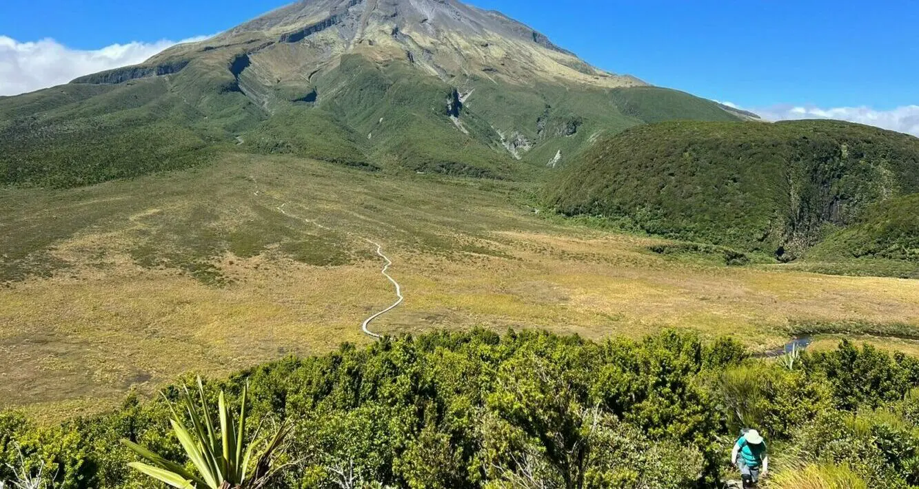 Hiker climbs the "Hump" after crossing the Ahukawakawa Swamp on the Pouakai Crossing track with a guided walking group led by Walking Legends hiking guide
