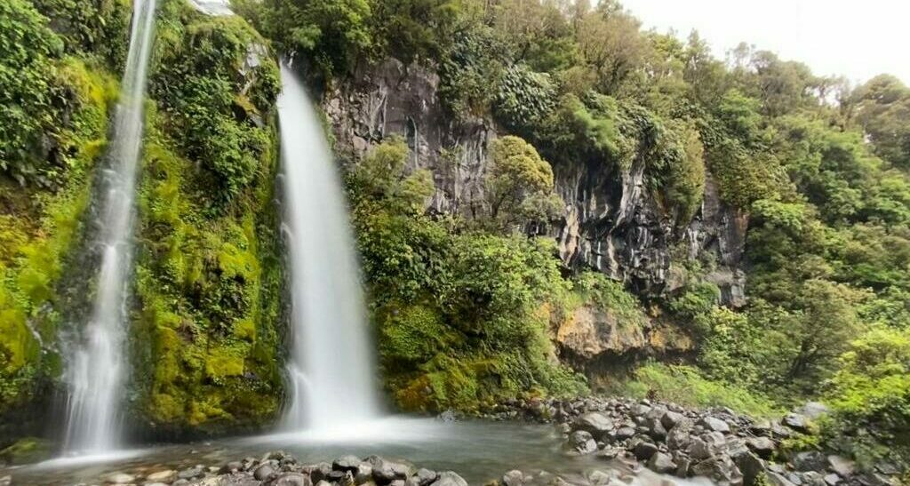 dawson falls taranaki guided walk with Walking Legends