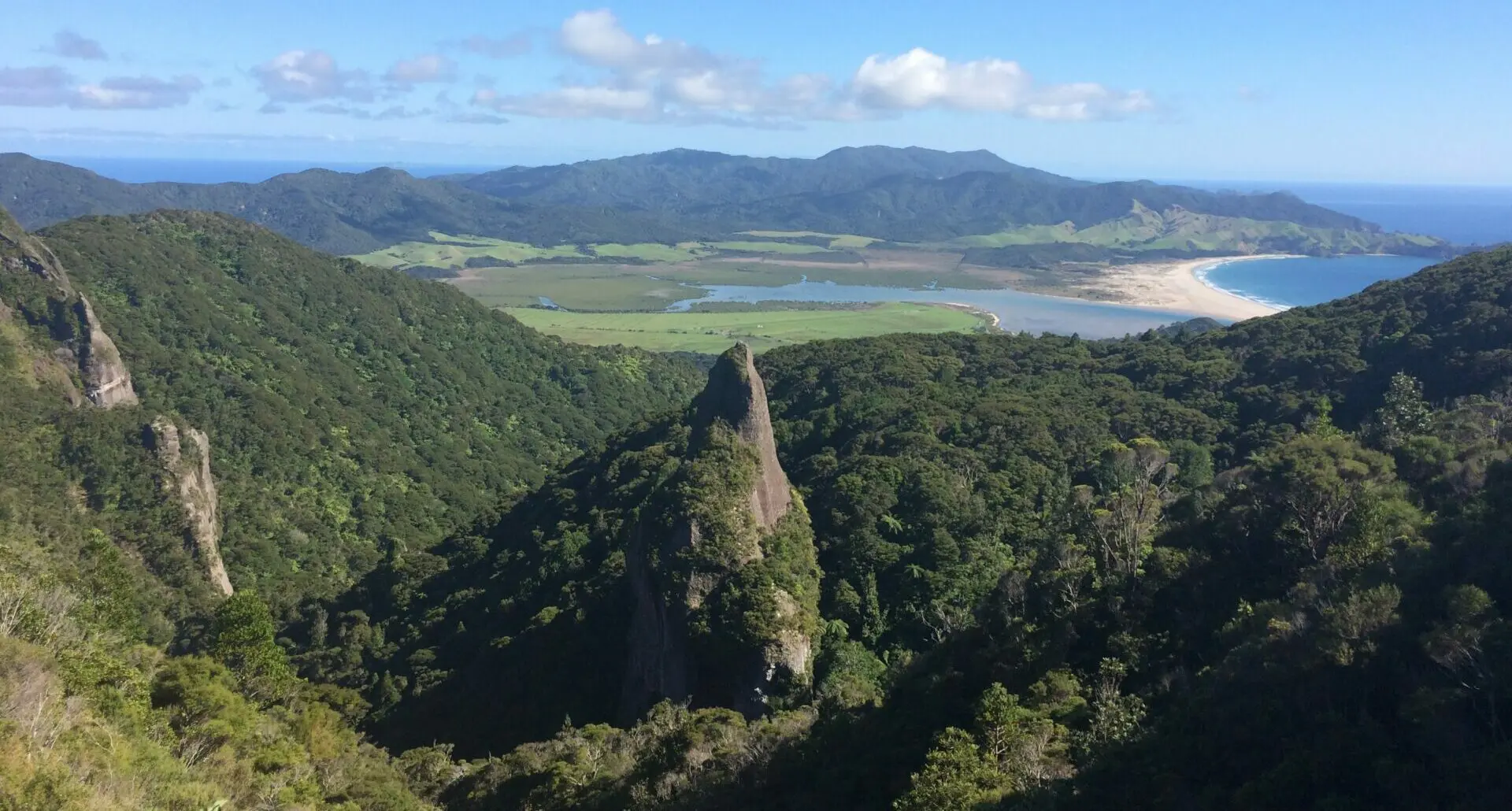 The Aotea Track on Great Barrier Island, is one of the best walks near Auckland