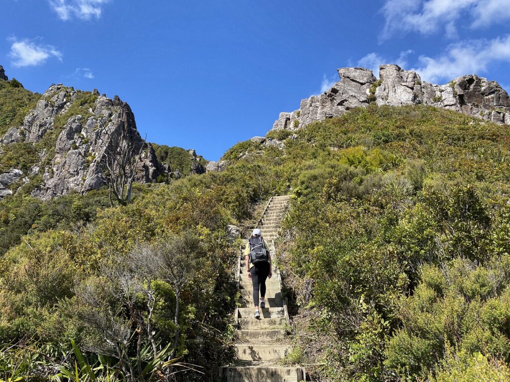 The Pinnacles Track Kauaeranga Valley Guided Walk