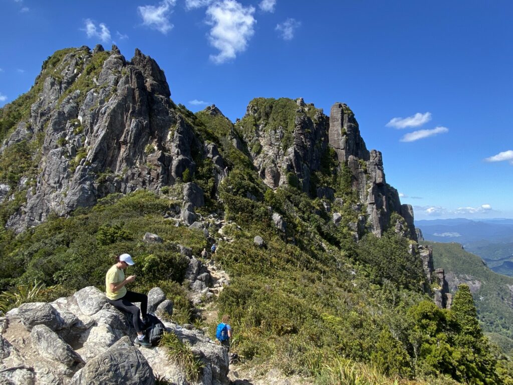 Take a guided hike on the Kauaeranga Kauri Trail, the Pinnacles, with Walking Legends Guided Walks New Zealand