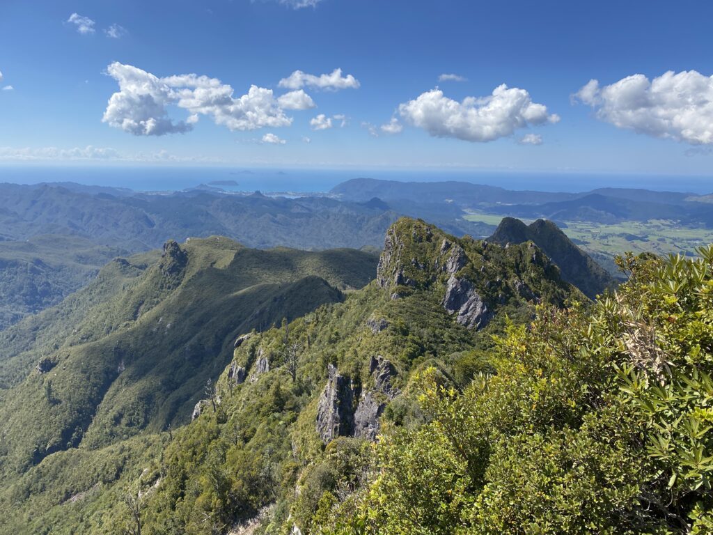 Coromandel Forest Park