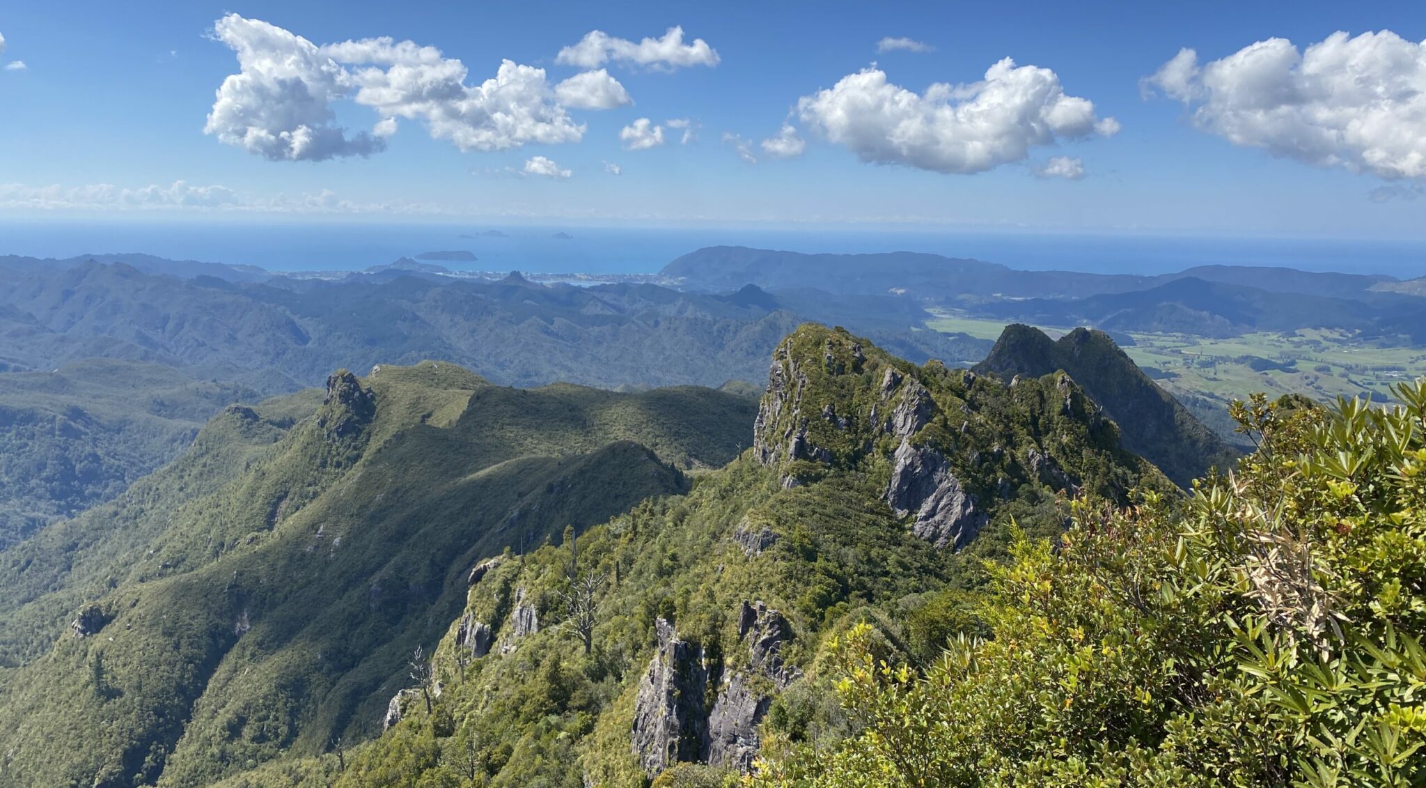 StepbyStep Guide to the Kauaeranga Kauri Trail 'The Pinnacles