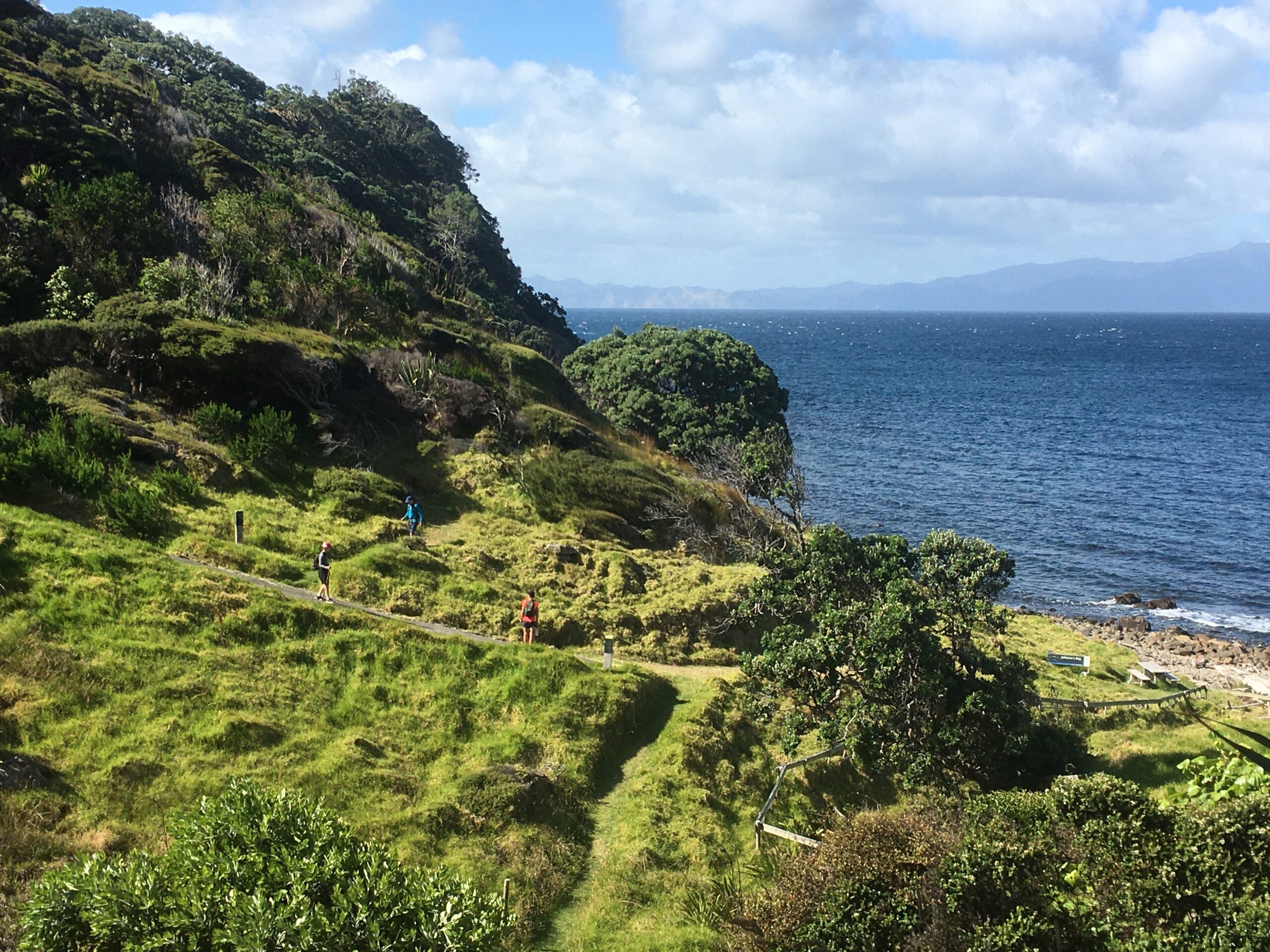 Great Barrier Island hikes