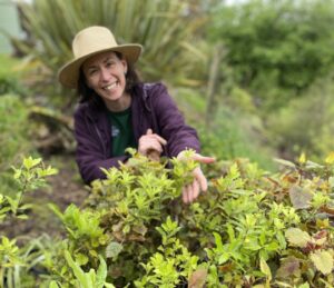 Walking Legends is the most sustainable guided walking company in New Zealand