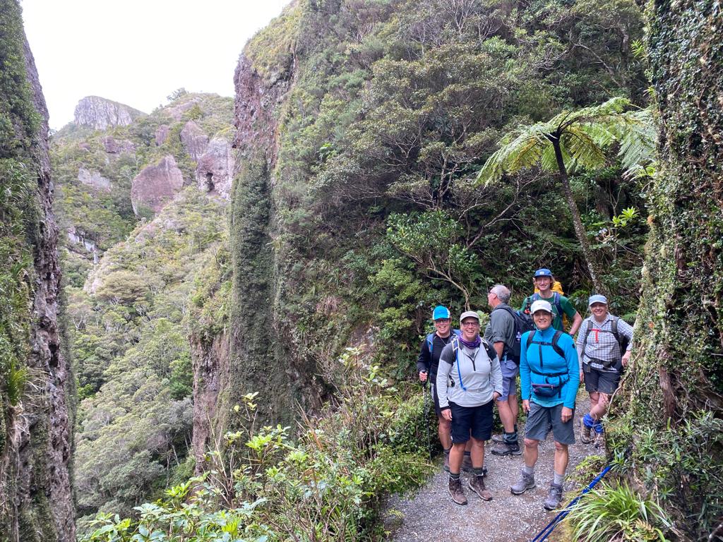 A group of hikers pause on the track in Windy Canyon, a steep-sided rocky canyon covered in moss and ferns on the Aotea Track on Great Barrier Island near Auckland