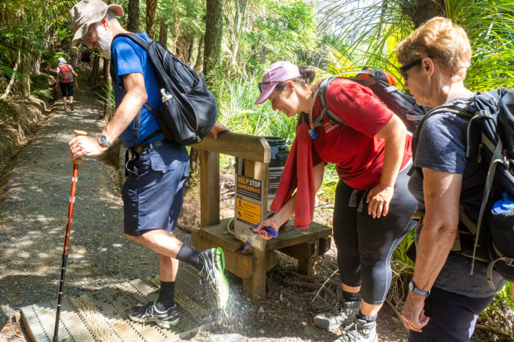 Boot spraying for Kauri dieback disease on Great Barrier Island