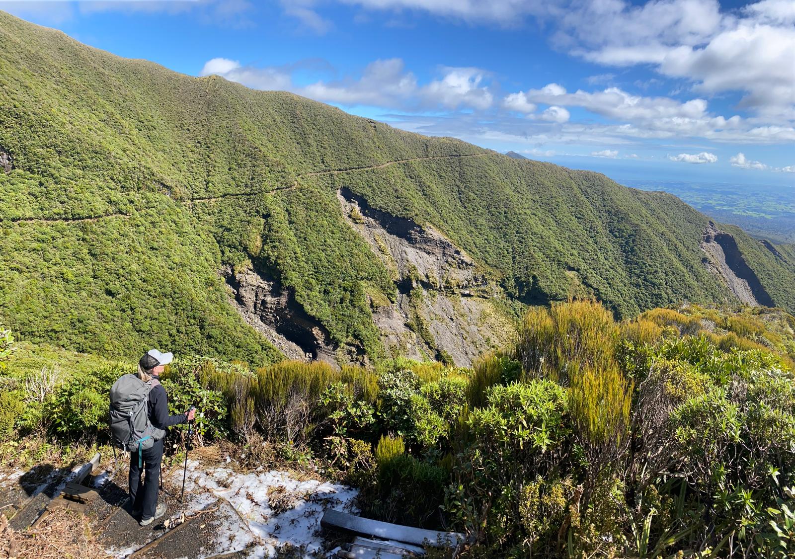 Guided walking tour of Taranaki