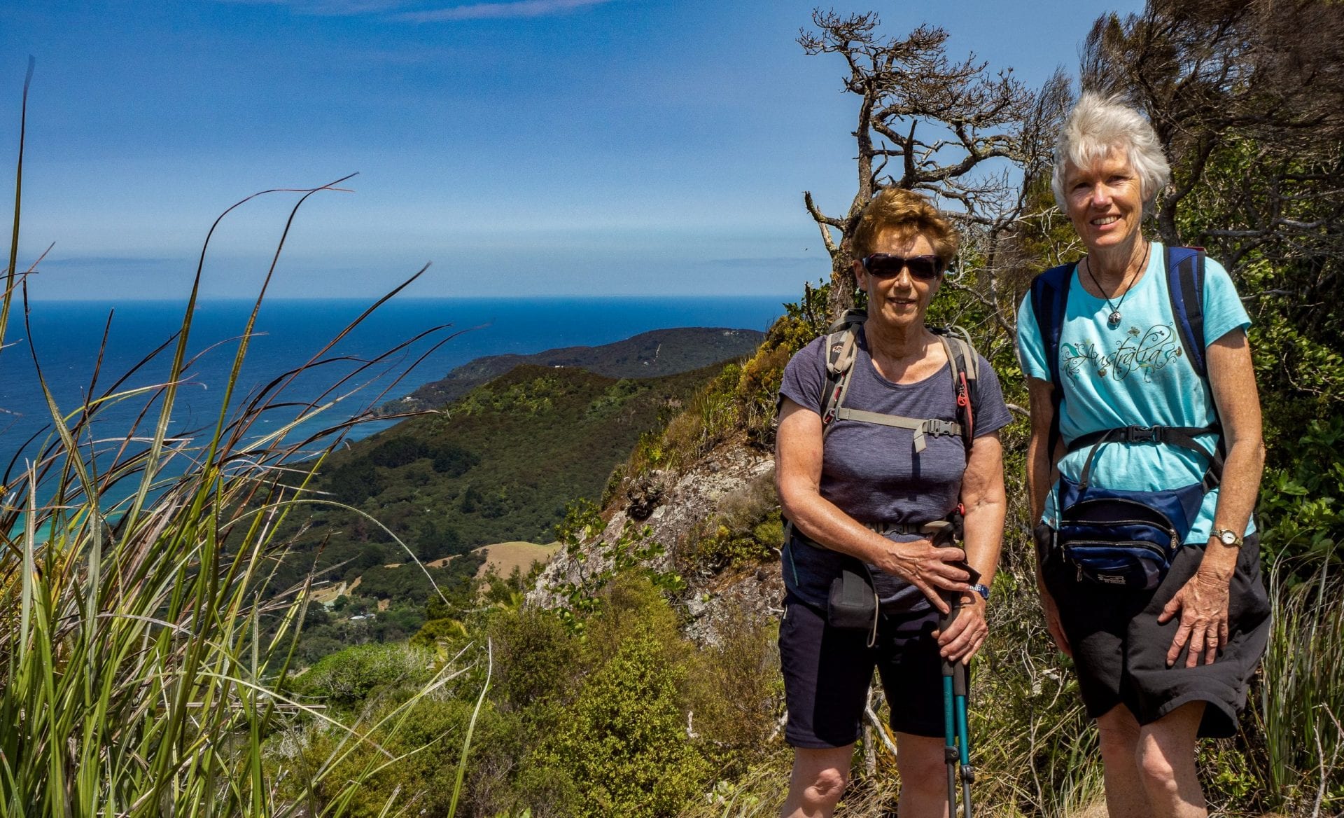 Stay safe on your guided walk