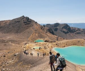 Tongariro Guided Walk