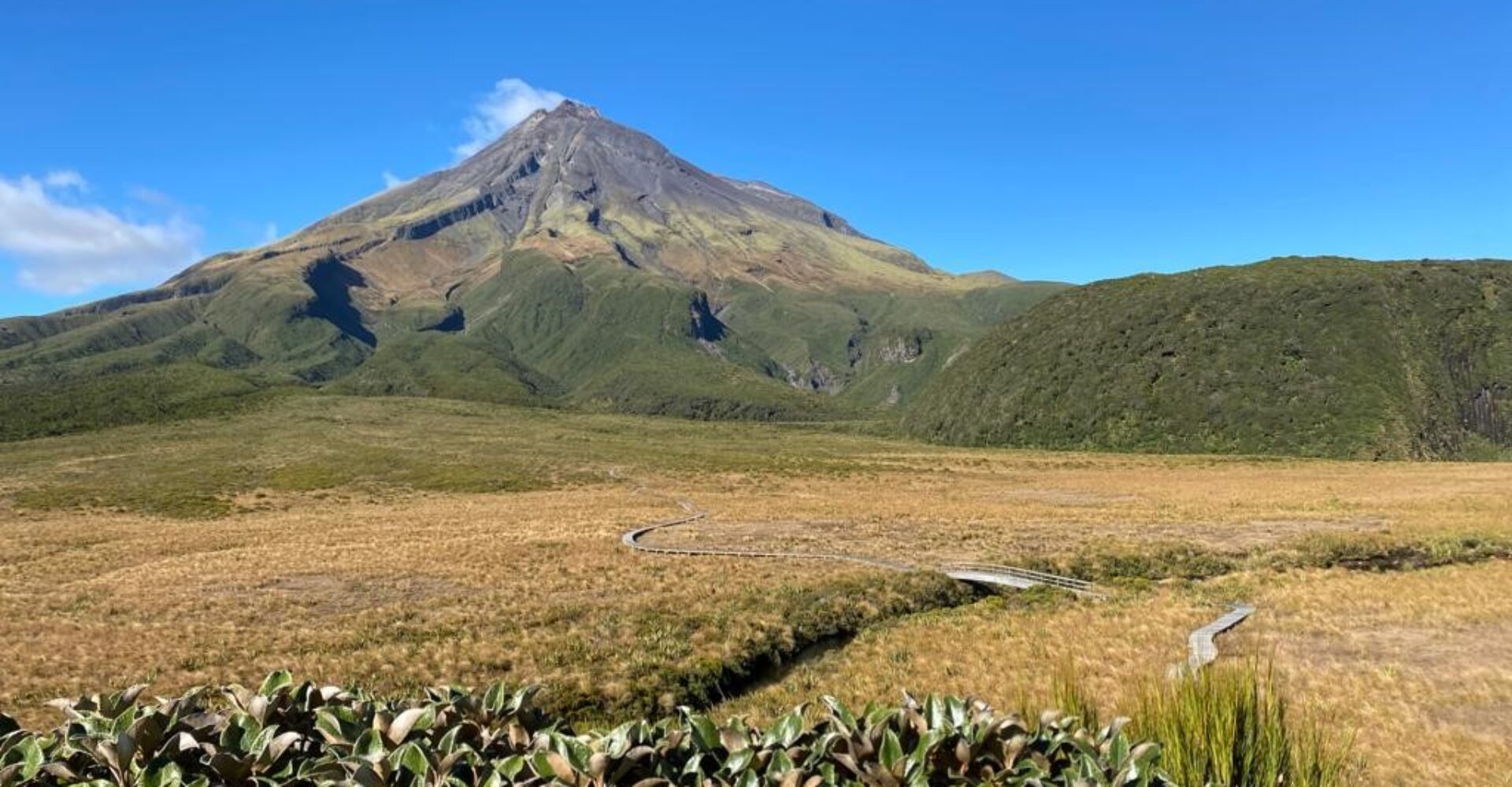 Ahukawakawa Swamp. mt taranaki walks