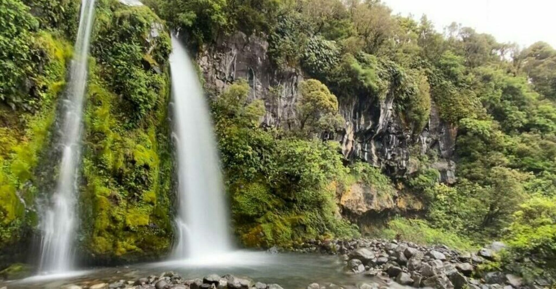 dawson falls taranaki guided walk with Walking Legends