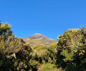 Taranaki Mounga seen from Pouakai Crossing track