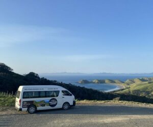 Best Coromandel Hikes Walking Legends