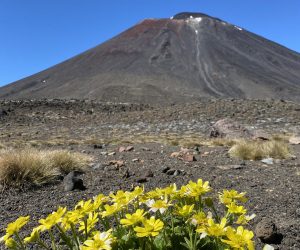 Best time to visit Tongariro National Park
