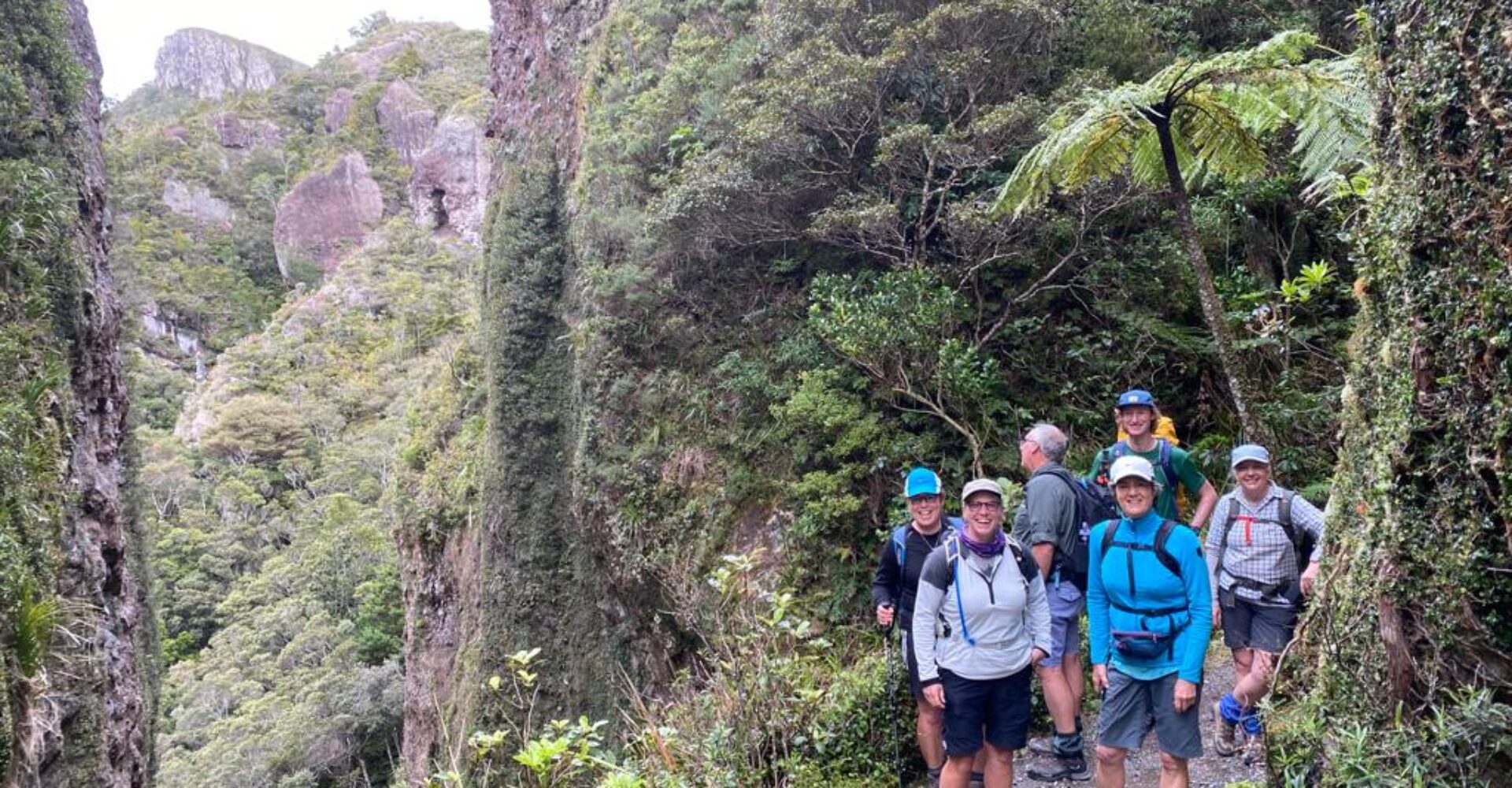 A group of hikers pause on the track in Windy Canyon, a steep-sided rocky canyon covered in moss and ferns on the Aotea Track on Great Barrier Island near Auckland
