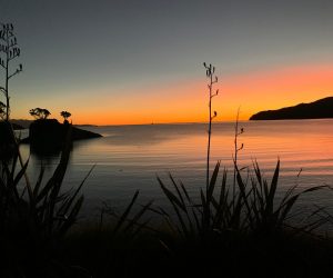 Great Barrier Island Sunset